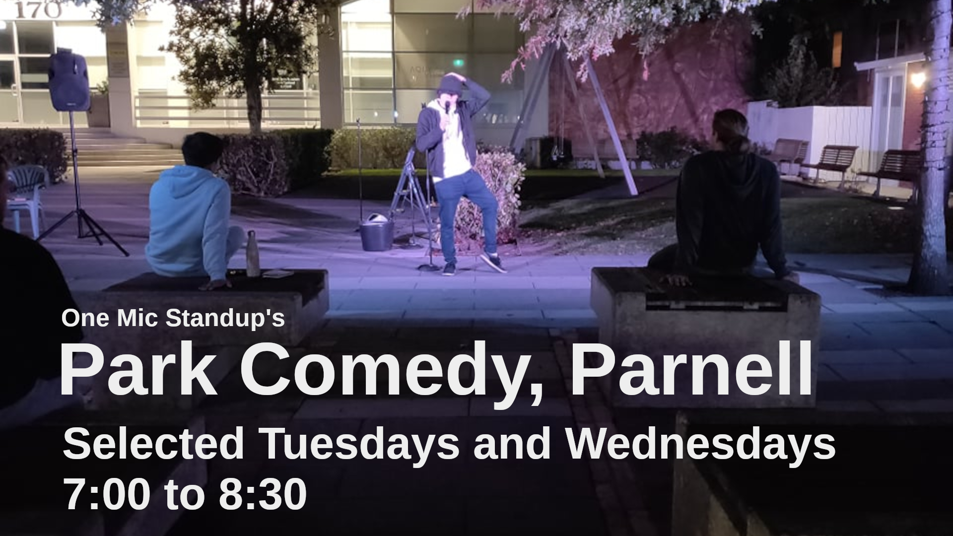 At night a comedian performs in a park.
