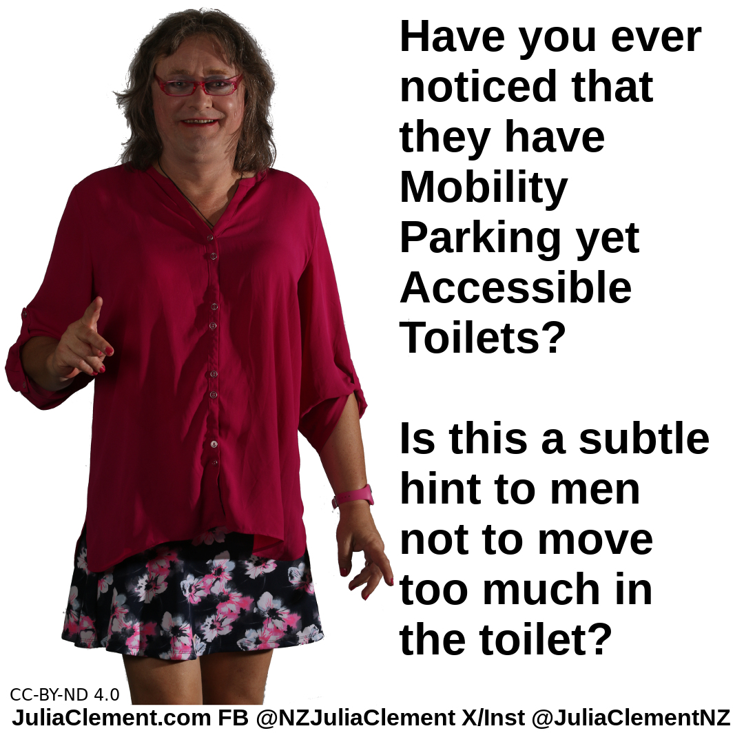 A comedian says "Have you ever noticed that they have Mobility Parking yet Accessible Toilets? Is this a subtle hint to men not to move too much in the toilet?"