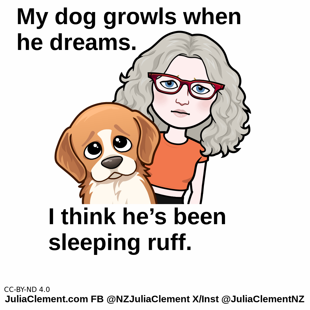 A dog with sad eyes stands in from of a comedian. She says "My dog growls when he dreams. I think he’s been sleeping ruff."