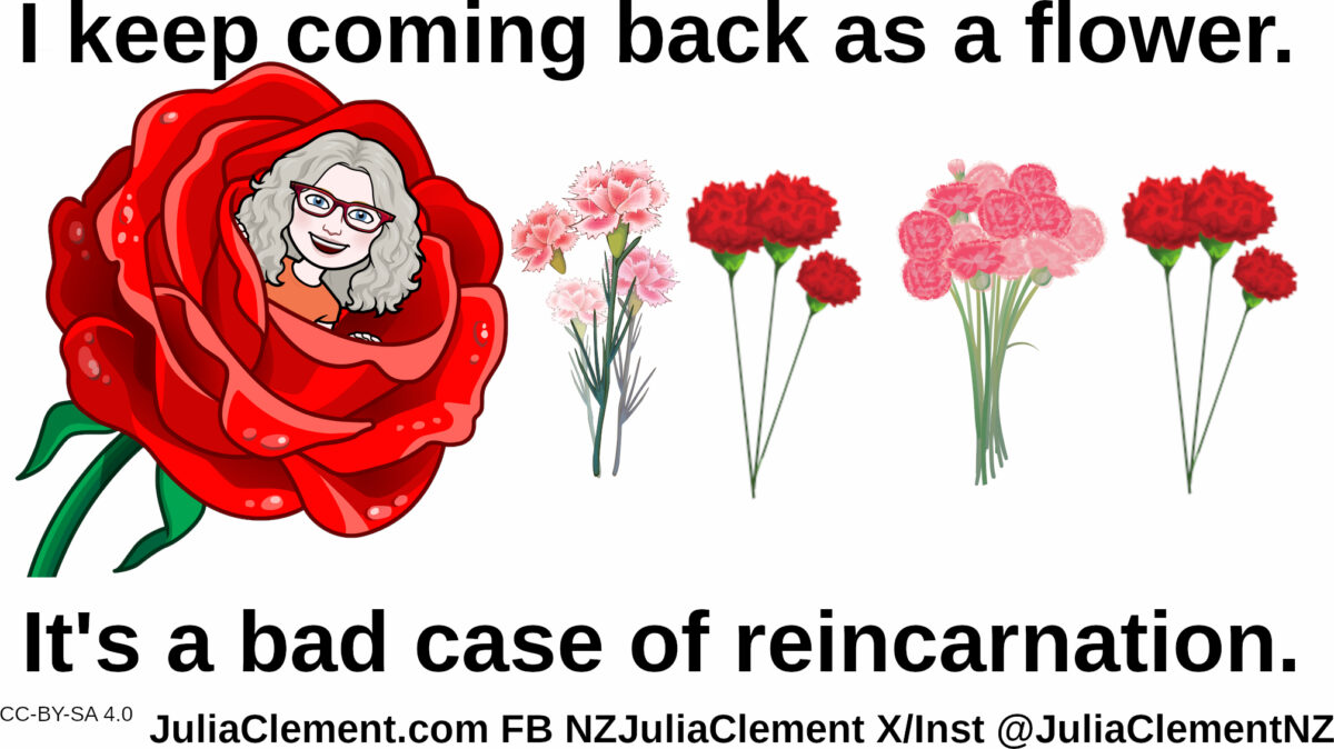 A comedian is coming out of a rose, there are 4 small bunches of carnations. Text: I keep coming back as a flower. It's a bad case of reincarnation.