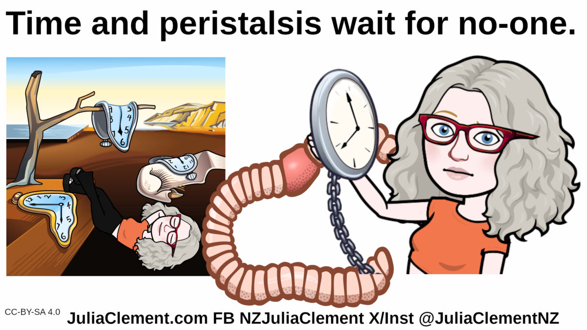 A cartoonish version of Dali's The Persistence of Memory with a comedian on her back with her feet resting on the table top. A worm & then the same comedian again holding a clock on a chain. Text: Time and peristalsis wait for no-one.