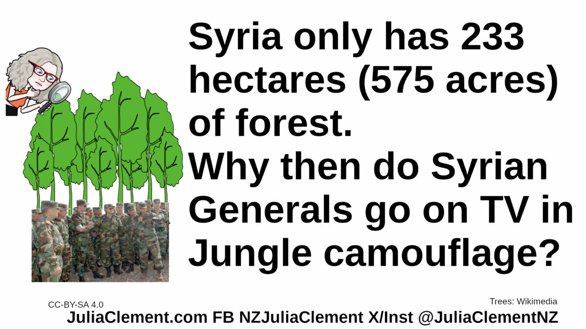 A comedian examines a stand of trees. In front of that are soldiers in jungle camouflage. Text: Syria only has 233 hectares (575 acres) of forest.Why then do Syrian Generals go on TV in Jungle camouflage?