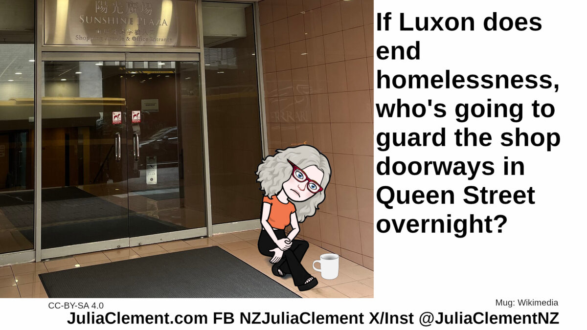 A despondent person with a mug sits on the ground outside a shop doorway. Images of burger meals are displayed. Text: If Luxon does end homelessness, who's going to guard the shop doorways in Queen Street overnight?