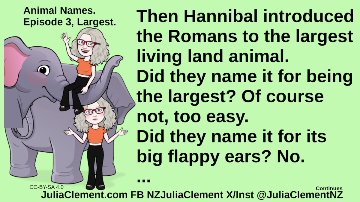 Julia rides on an elephant’s trunk, later she stands behind an elephant. Text: Animal Names. Episode 3, Largest. Then Hannibal introduced the Romans to the largest living land animal. Did they name it for being the largest? Of course not, too easy. Did they name it for its big flappy ears? No. ...