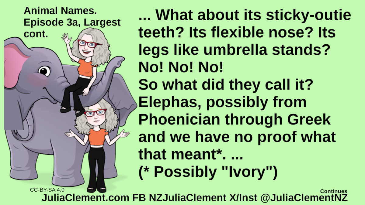 Julia rides on an elephant’s trunk, later she stands behind an elephant. Text: Animal Names. Episode 3a, Largest cont. ... What about its sticky-outie teeth? Its flexible nose? Its legs like umbrella stands? No! No! No! So what did they call it? Elephas, possibly from Phoenician through Greek and we have no proof what that meant*. ... (* Possibly "Ivory")