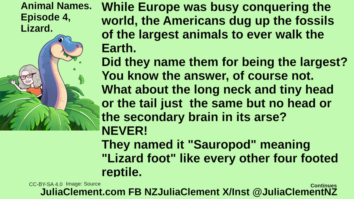 Julia riding a sauropod sticking its head above the foliage. Text: Animal Names. Episode 4, Lizard. While Europe was busy conquering the world, the Americans dug up the fossils of the largest animals to ever walk the Earth. Did they name them for being the largest? You know the answer, of course not. What about the long neck and tiny head or the tail just the same but no head or the secondary brain in its arse? NEVER! They named it "Sauropod" meaning "Lizard foot" like every other four footed reptile.