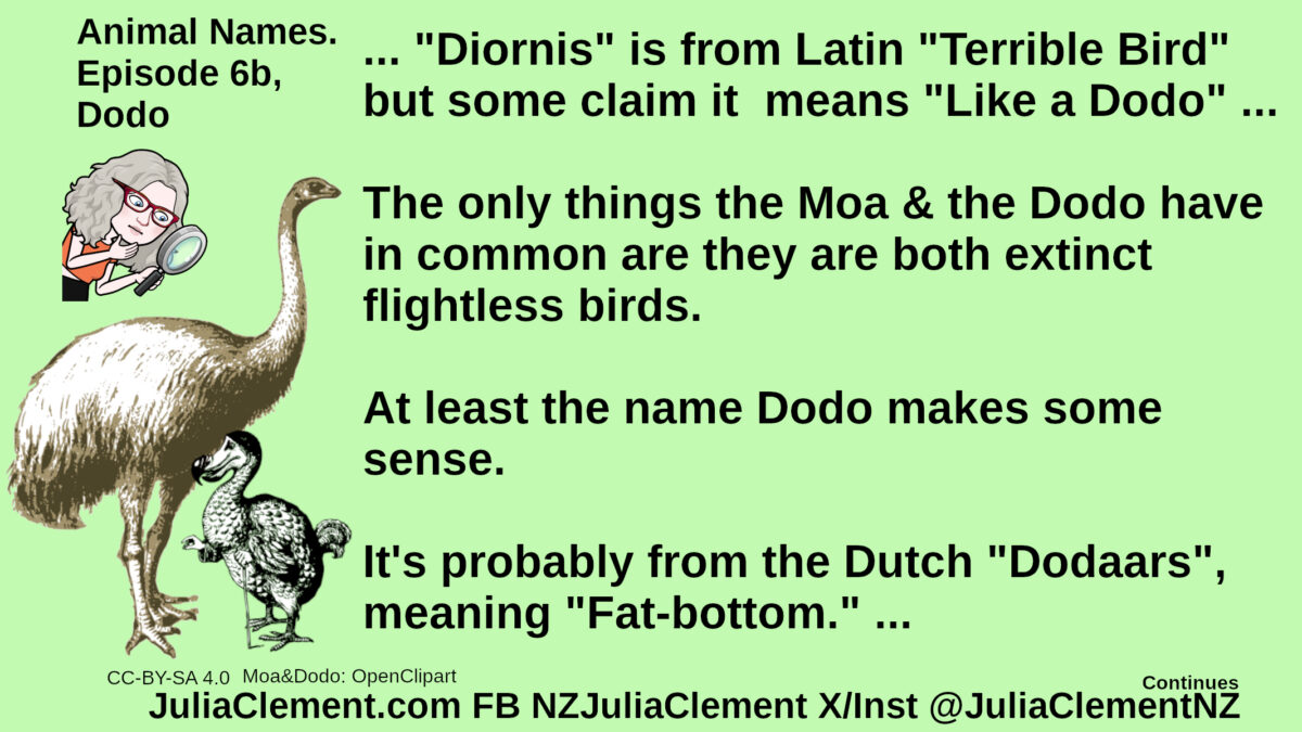 Animal Names. Episode 6b, Dodo.