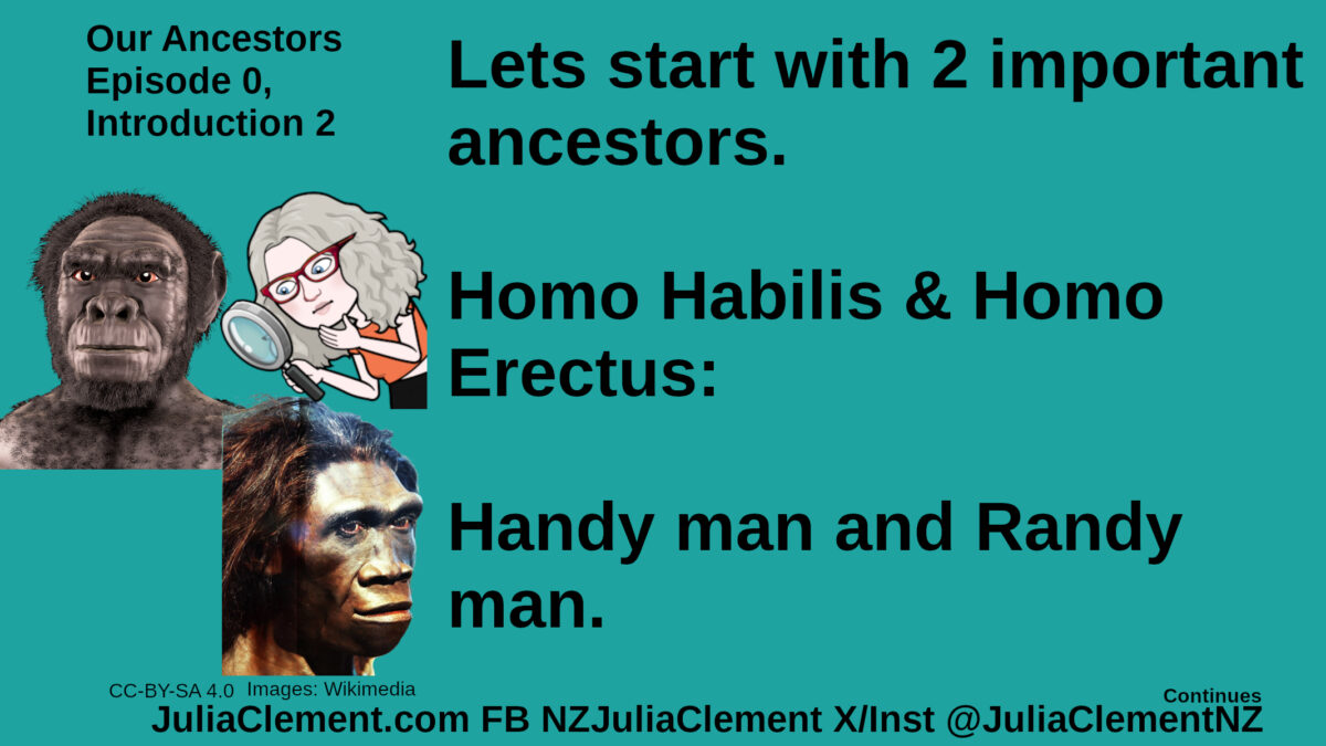 Julia looks at heads of two reconstructed ancient humans Text: Our Ancestors Episode 1, Introduction 2 Lets start with two important ancestors. Homo Habilis & Homo Erectus: Handy man and Randy man.