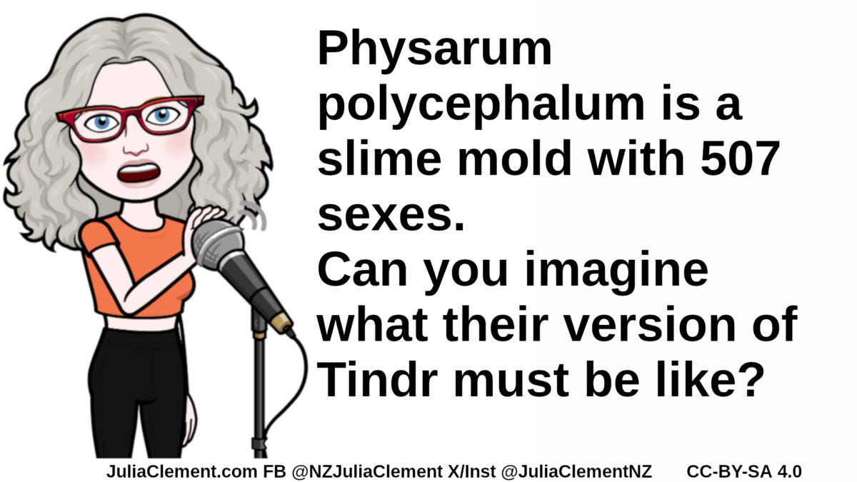 Julia stands at a mic stand, covering the microphone with her hand. Text: Physarum polycephalum is a slime mold with 507 sexes. Can you imagine what their version of Tindr must be like?