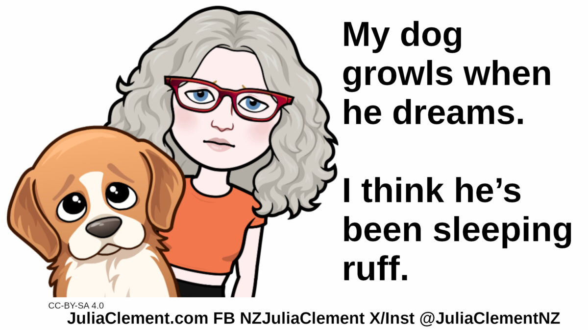 A dog with sad eyes stands in front of Julia who looks concerned. Text: My dog growls when he dreams. I think he’s been sleeping rough.