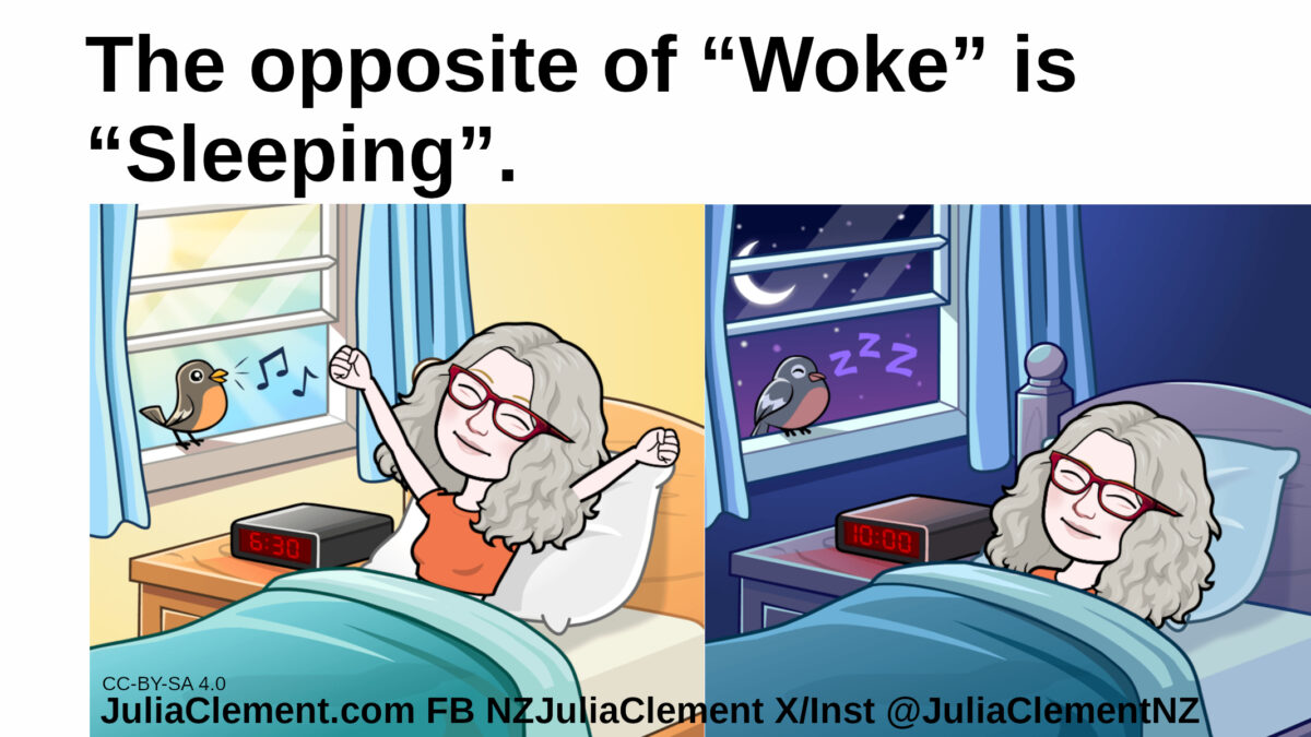 Julia wakes up, another picture of her sleeps on. Text: The opposite of “Woke” is “Sleeping”.