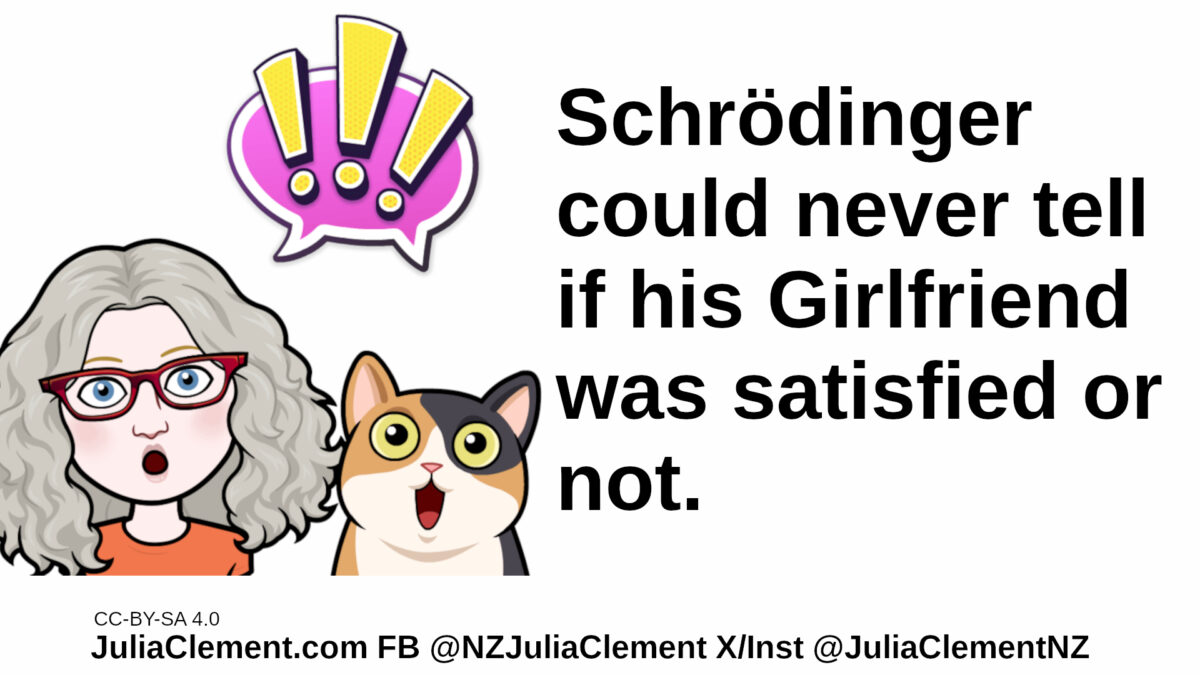 Julia & a cat look out from the screen with expressions of surprise. Above their heads is a speech balloon containing 3 explanation marks. Text: Schrödinger could never tell if his girlfriend was satisfied or not.