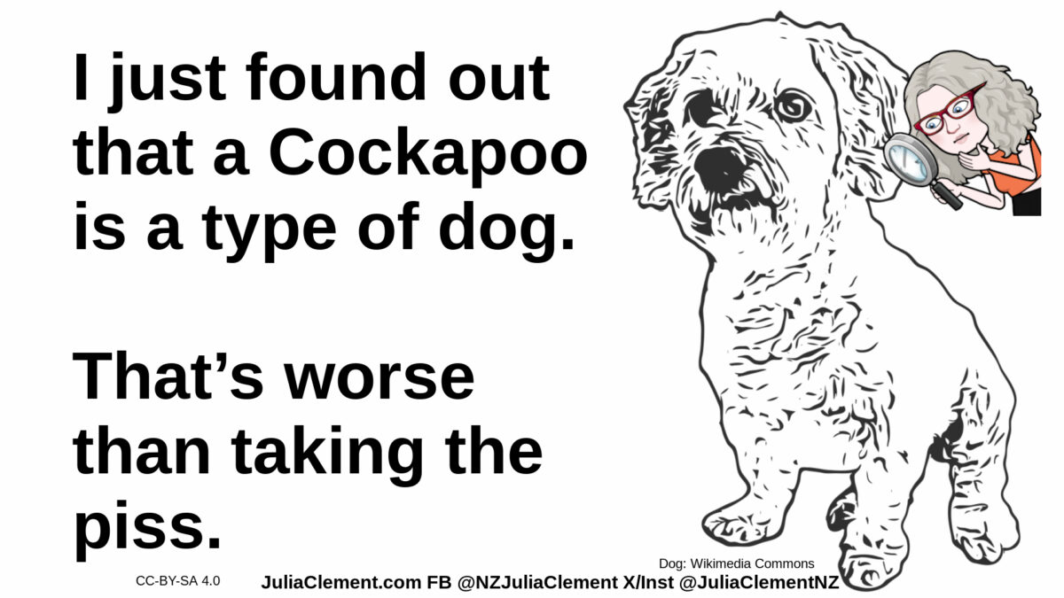 Julia examines a line drawing of a small dog. Text: I just found out a Cockapoo is a type of dog. That’s worse than taking the piss.