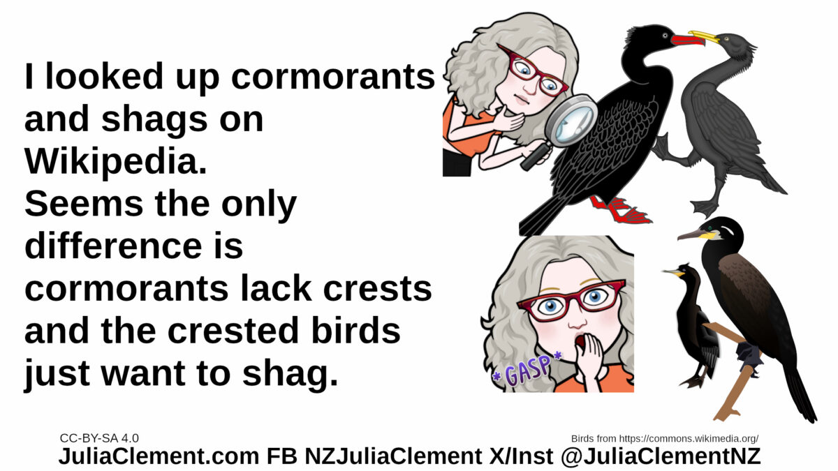 Julia uses a magnifying glass to examine two shags tapping beaks. Another image of her is surprised to see two cormorants facing in the same direction. Text: I looked up cormorants and shags on Wikipedia. Seems the only difference is cormorants lack crests and the crested birds just want to shag.