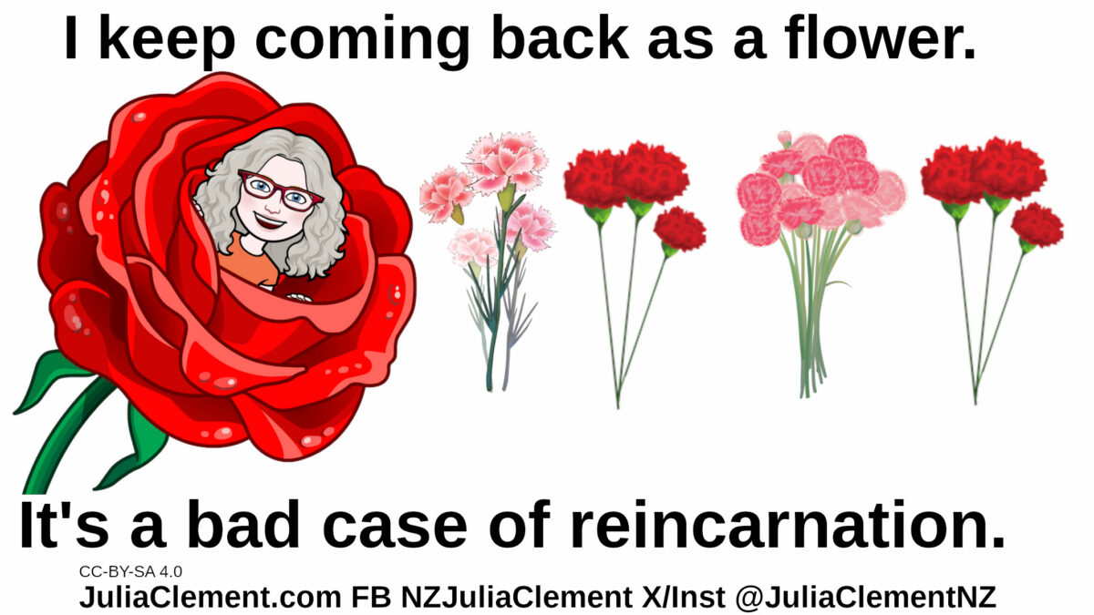 Julia is coming out of a rose, there are 4 small bunches of carnations. Text: I keep coming back as a flower. It's a bad case of reincarnation.