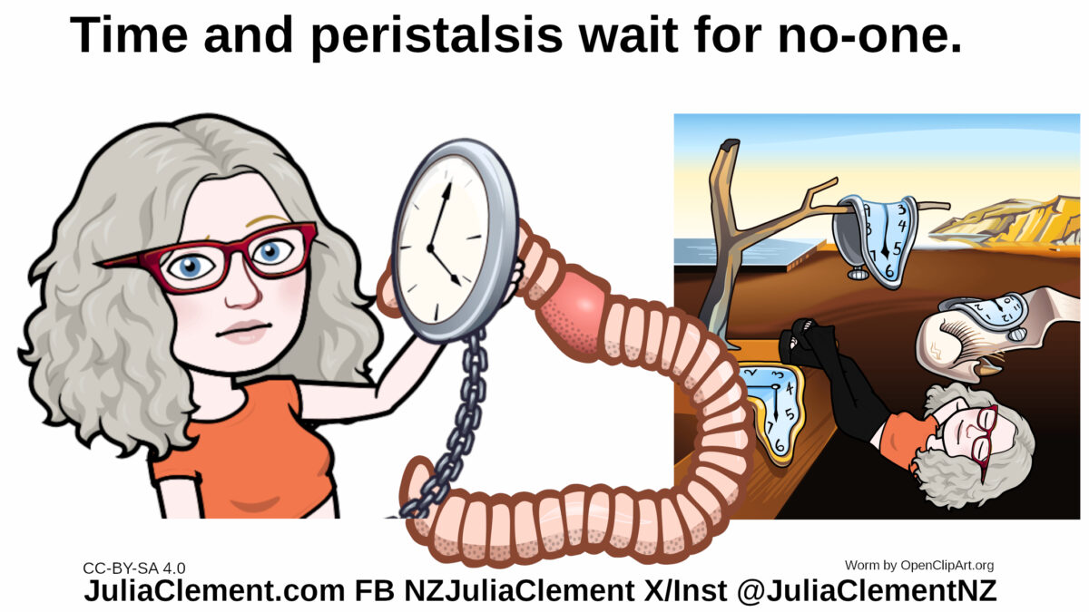 A cartoonish version of Dali's The Persistence of Memory with Julia on her back with her feet resting on the table top. A worm & then Julia again holding a clock on a chain. Text: Time and peristalsis wait for no-one.