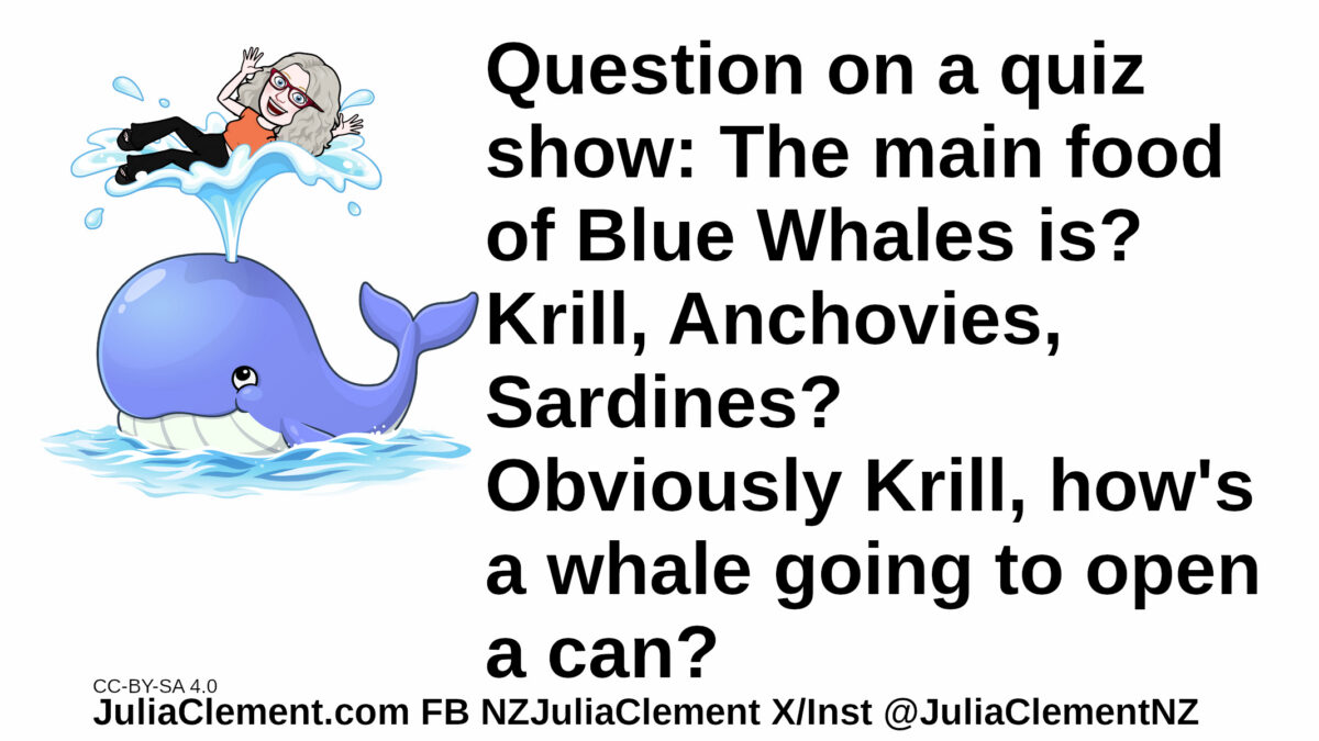 Julia is held aloft on the spout from a blue whale. Text: Question on a quiz show: The main food of Blue Whales is? Krill, Anchovies, Sardines? Obviously Krill, how's a whale going to open a can?
